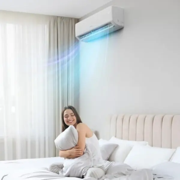 Blue Star split AC on rent with silver ion advanced microbial filters
